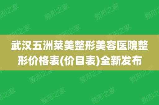 广州莱美整形招聘_广州莱美整形医院医生表