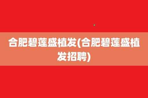 贵州碧莲盛招聘,碧莲盛招聘信息 