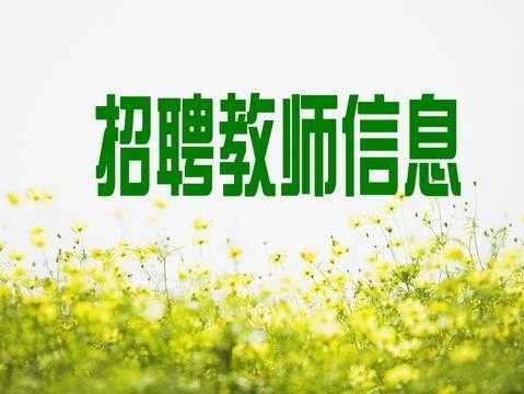 教师校园招聘什么意思,教师校园招聘什么意思呀 