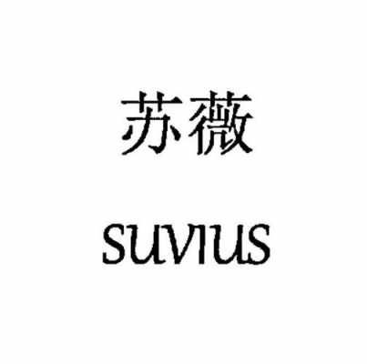 苏薇suvius深圳招聘