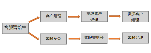 雅兰国际集团招聘（雅兰国际集团董事长）